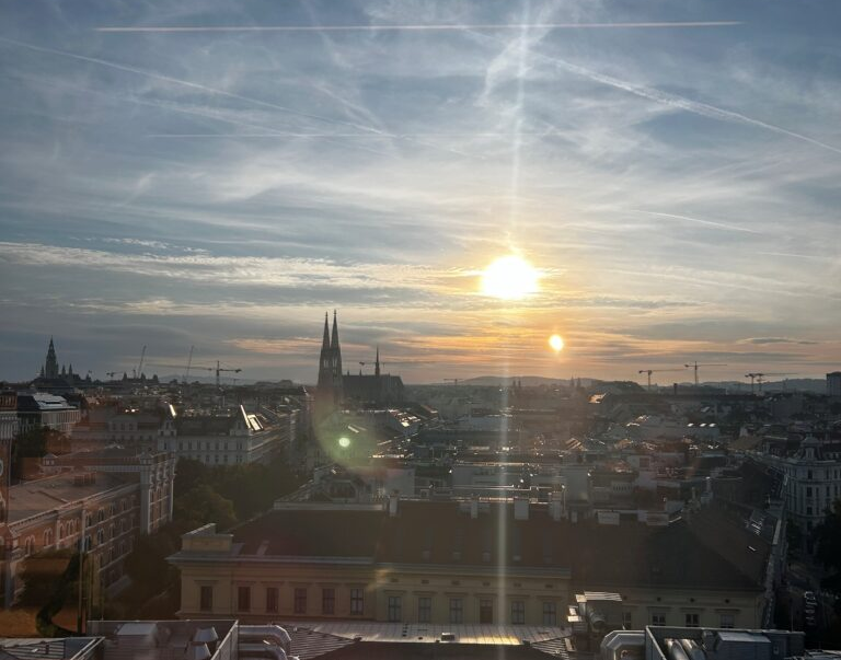 Annual General Meeting of the DSE